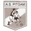 PITGAM AS 2